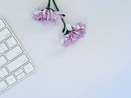2019年在線企業(yè)的5個(gè)重要SEO技巧-瑩晨建站-algeanandpartners.com 2019年在線企業(yè)的5個(gè)重要SEO技巧-瑩晨建站-algeanandpartners.com